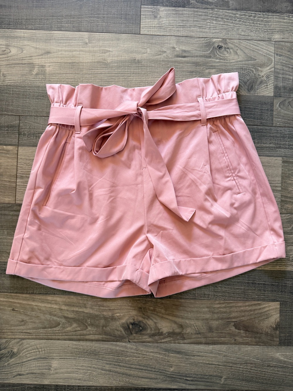 Charlotte Russe Blush Pink Pleated Mini Skirt